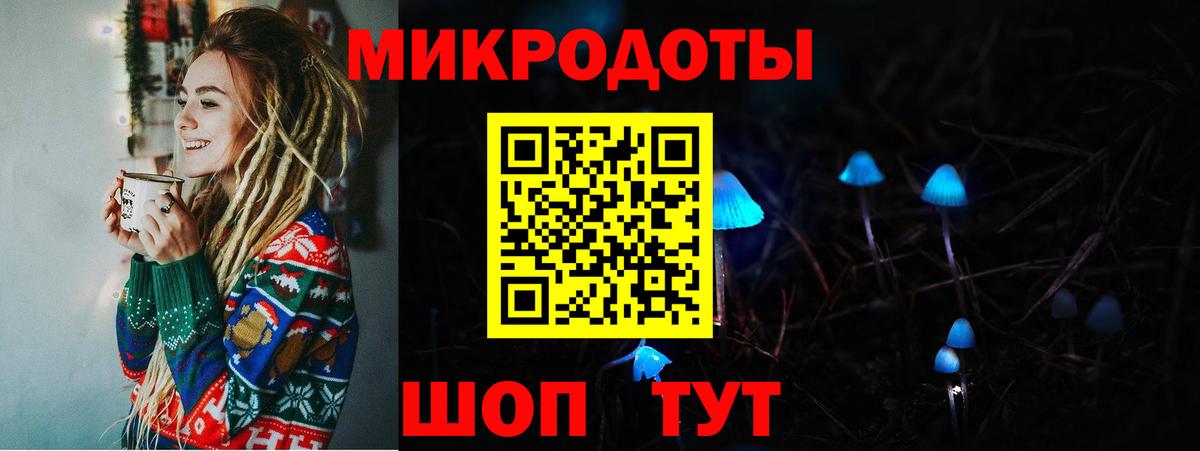 Псилоцибиновые грибы Psilocybe Каспийск
